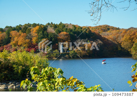 紅葉の宮沢湖 紅葉の宮沢湖 109473887