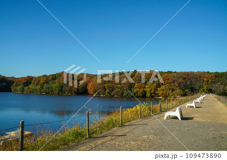 紅葉の宮沢湖 紅葉の宮沢湖 109473890