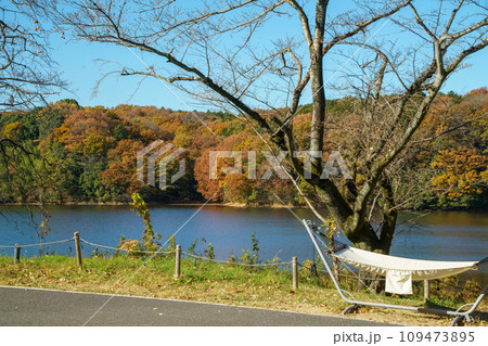 紅葉の宮沢湖 紅葉の宮沢湖 109473895