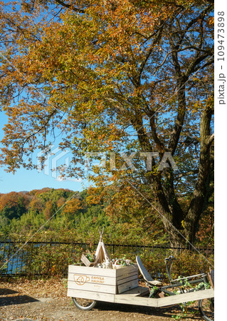 紅葉の宮沢湖 紅葉の宮沢湖 109473898