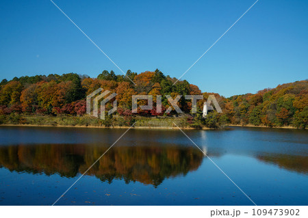 紅葉の宮沢湖 紅葉の宮沢湖 109473902