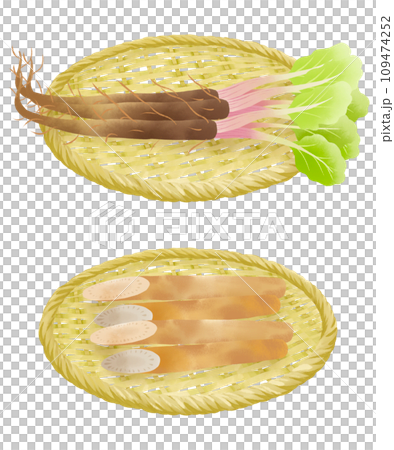 ザルにのったゴボウのイラストセット ザルにのったゴボウのイラストセット 109474252