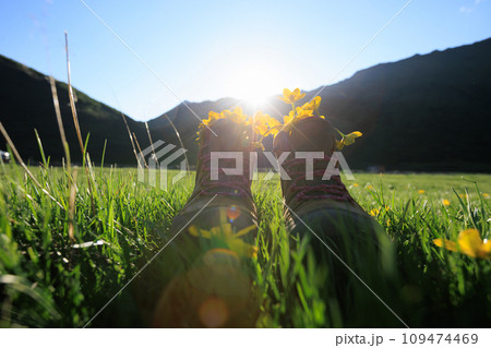 Hiking boots with yellow wild flowers in grass 109474469