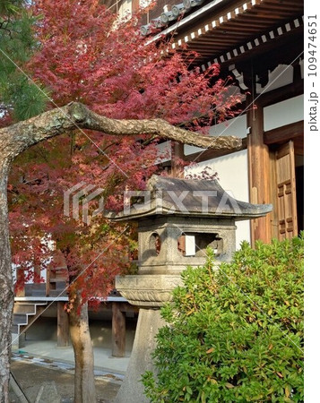 古寺 本堂の横の大きい灯籠 古寺 本堂の横の大きい灯籠 109474651