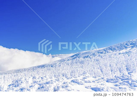 青空と山形蔵王の樹氷 スノーモンスター 山形県山形市 青空と山形蔵王の樹氷 スノーモンスター 山形県山形市 109474763