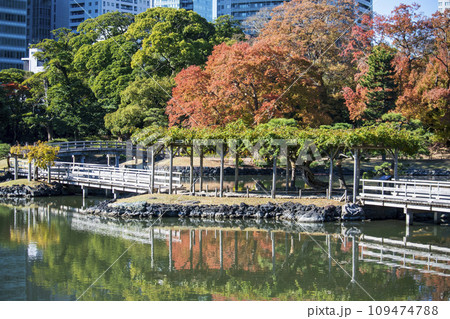 東京都　浜離宮恩賜庭園　　小の字島と潮入りの池 109474788