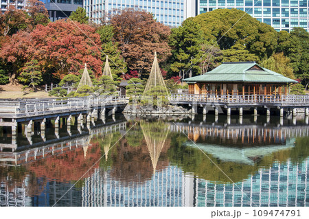 東京都　浜離宮恩賜庭園　中島の御茶屋　紅葉と潮入りの池 109474791