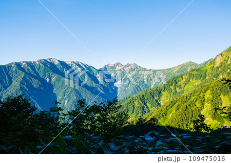 夏の爺ヶ岳登山（柏原新道から望む蓮華岳・針ノ木岳・スバリ岳・赤沢岳） 109475016