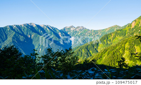 夏の爺ヶ岳登山(柏原新道から望む蓮華岳・針ノ木岳・スバリ岳・赤沢岳) 夏の爺ヶ岳登山(柏原新道から望む蓮華岳・針ノ木岳・スバリ岳・赤沢岳) 109475017
