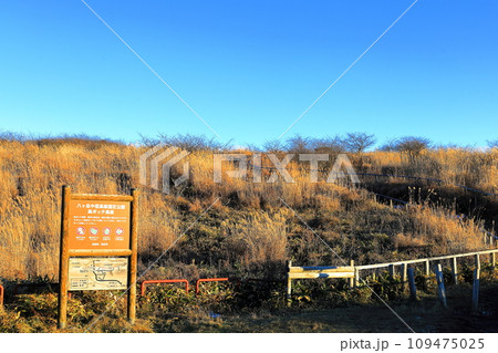 高ボッチ高原/長野県塩尻市 高ボッチ高原/長野県塩尻市 109475025