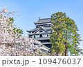 島根県松江市　満開の桜と晴天の国宝松江城天守 109476037