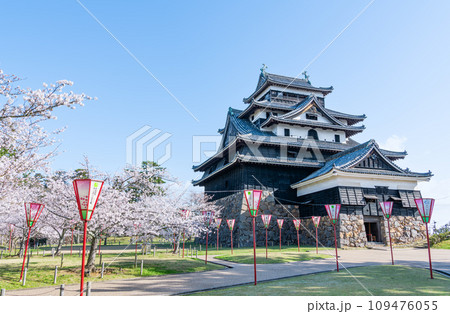 島根県松江市　満開の桜と晴天の国宝松江城 109476055
