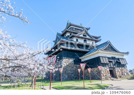 島根県松江市　満開の桜と晴天の国宝松江城 109476060