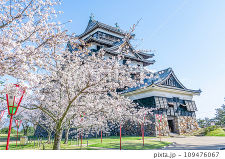 島根県松江市　満開の桜と晴天の国宝松江城 109476067