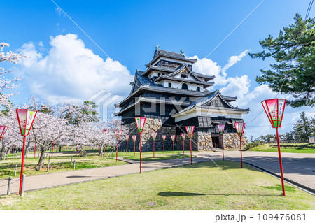 島根県松江市　満開の桜と晴天の国宝松江城 109476081