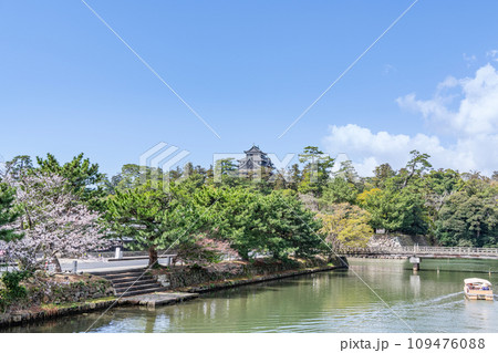 島根県松江市　桜が満開の春の松江城と堀川遊覧船 109476088