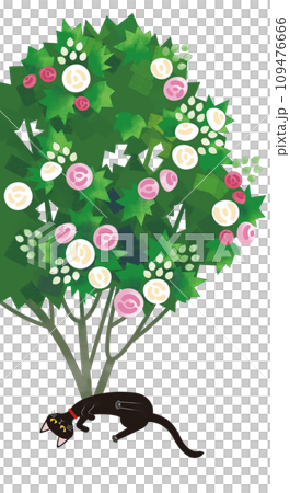 酔芙蓉に黒猫 109476666