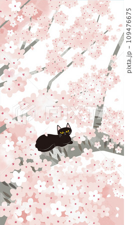 桜に黒猫 109476675