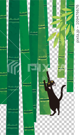 竹林裡的黑貓 竹林裡的黑貓 109476676