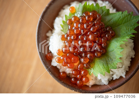 いくら丼 109477036