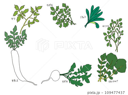 春の七草のイラスト 109477437