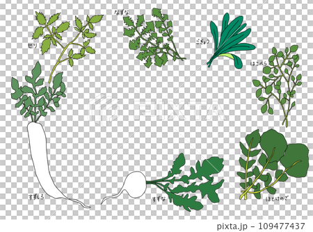春天的七味藥材圖解 春天的七味藥材圖解 109477437