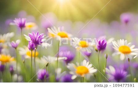 Spring flowers create a smooth background 109477591