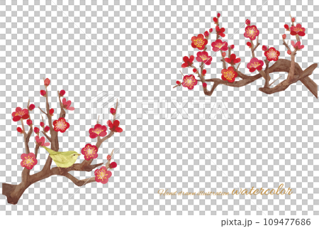 水彩畫梅花的向量圖 水彩畫梅花的向量圖 109477686