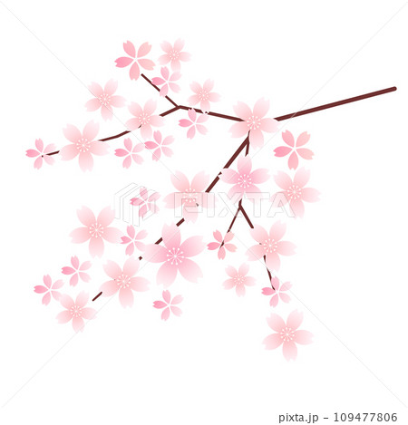 桜　年賀状　和柄　アイコン	 109477806
