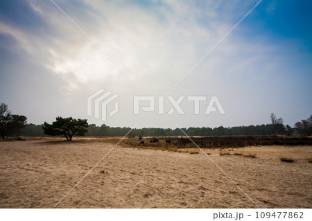 Desolate Beauty: Solitude in the Sand Desolate Beauty: Solitude in the Sand 109477862