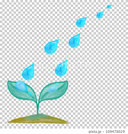 双葉に水やり クレヨンタッチイラスト 109478029