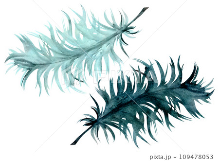 Hand drawn watercolor Mardi Gras carnival symbol. Bird feather quill plumage, emerald mint green. Single object isolated on white background. Design for party invitation, print, shop, wedding, clothes Hand drawn watercolor Mardi Gras carnival symbol. Bird feather quill plumage, emerald mint green. Single object isolated on white background. Design for party invitation, print, shop, wedding, clothes 109478053