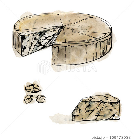 Hand drawn watercolor ink illustration. Gorgonzola blue cheese, full head and slice, dairy product. Single object isolated on white. Design restaurant, menu, cafe, food shop or package, flyer, print. 109478058
