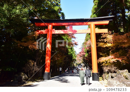 霧島市 霧島神宮二の鳥居と表参道と紅葉 霧島市 霧島神宮二の鳥居と表参道と紅葉 109478233