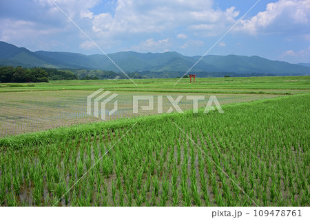 菅原神社の鳥居 109478761