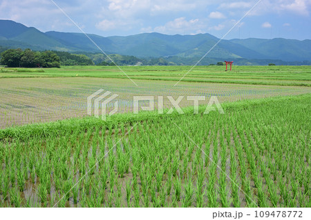 菅原神社の鳥居 109478772