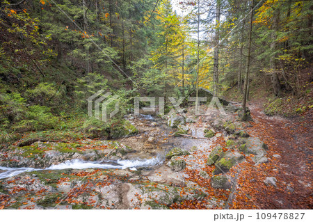 Tranquil autumn footpath along the stream through forest. Tranquil autumn footpath along the stream through forest. 109478827