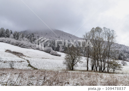 Winter landscape with snowy trees and mountains at hazy day. 109478837