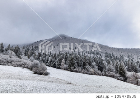 Winter landscape with snowy trees and mountains at hazy day. 109478839