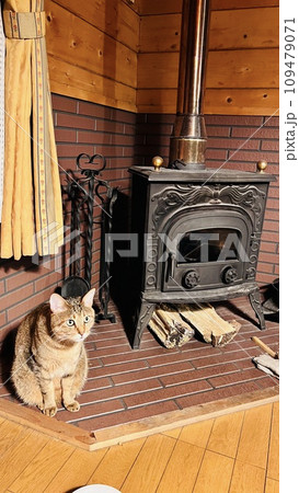 黒姫高原の別荘　ログハウスに住むキジトラ猫 109479071