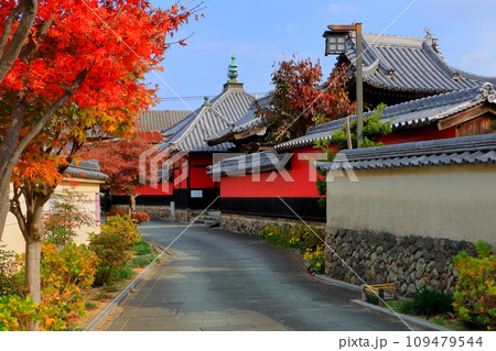 秋の寺町通り(合元寺・中津市寺町) 秋の寺町通り(合元寺・中津市寺町) 109479544