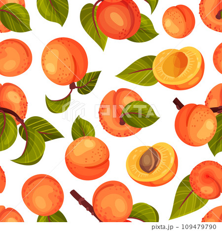 Juicy Apricot Fruit Seamless Pattern with Ripe Garden Crop Vector Template 109479790