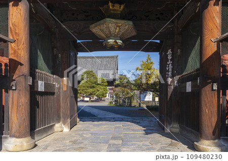 秋の京都　清凉寺（嵯峨釈迦堂）　仁王門の吊燈籠 109480230