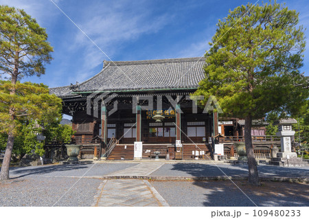 秋の京都 清凉寺(嵯峨釈迦堂)の本堂 秋の京都 清凉寺(嵯峨釈迦堂)の本堂 109480233