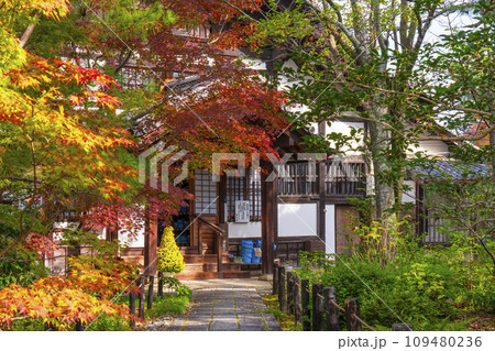 秋の京都　清凉寺（嵯峨釈迦堂）　紅葉に包まれた寺務所 109480236