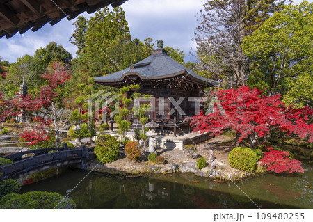 秋の京都 清凉寺(嵯峨釈迦堂) 渡り廊下からみた弁天堂 秋の京都 清凉寺(嵯峨釈迦堂) 渡り廊下からみた弁天堂 109480255