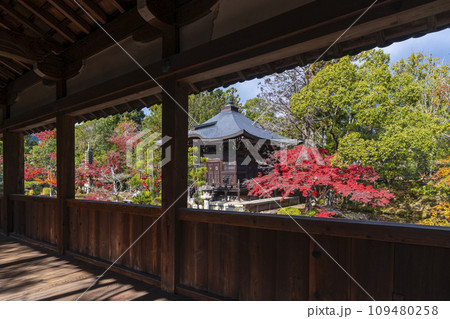 秋の京都　清凉寺（嵯峨釈迦堂）　渡り廊下からみた弁天堂 109480258