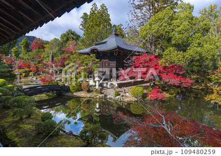 秋の京都　清凉寺（嵯峨釈迦堂）　渡り廊下からみた弁天堂 109480259
