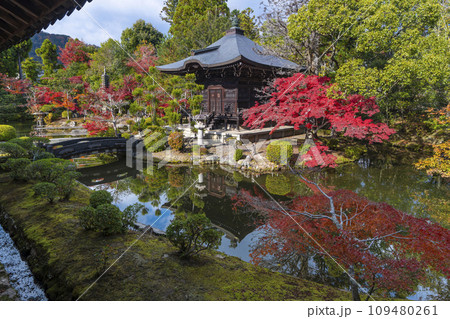 秋の京都 清凉寺(嵯峨釈迦堂) 渡り廊下からみた紅葉の弁天堂 秋の京都 清凉寺(嵯峨釈迦堂) 渡り廊下からみた紅葉の弁天堂 109480261