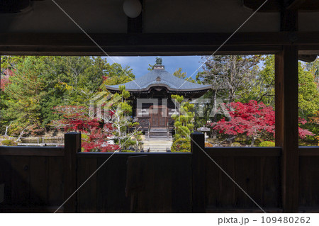 秋の京都 清凉寺(嵯峨釈迦堂) 渡り廊下からみた紅葉の弁天堂 秋の京都 清凉寺(嵯峨釈迦堂) 渡り廊下からみた紅葉の弁天堂 109480262